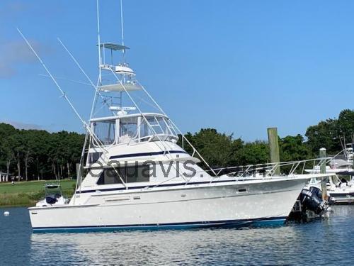 Bertram 42 Convertible fiche technique et avis